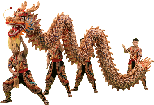 Un grupo de bailarines vestidos con trajes tradicionales realiza la danza del dragón chino, sosteniendo un dragón largo y detallado con postes sobre un fondo blanco.