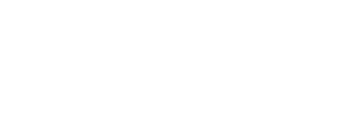Logotipo de Destino China con un dragón tradicional blanco sobre fondo negro.